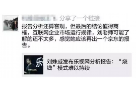 游仙游仙的要账公司在催收过程中的策略和技巧有哪些？